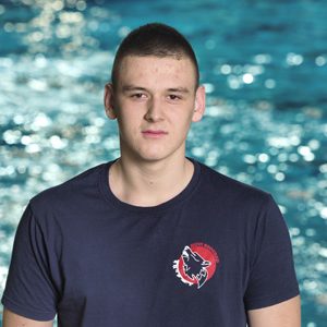 Andrija Batricevic