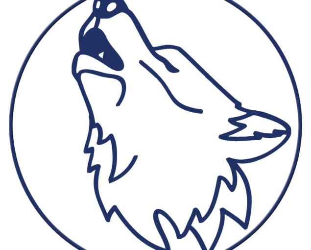 VK Novobeogradski vukovi